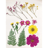 Maxbell 13/14/15Pcs Pressed Leaves Natural Dried Flowers Scrapbooking Card making D