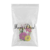 Maxbell 13/14/15Pcs Pressed Leaves Natural Dried Flowers Scrapbooking Card making D