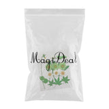 Maxbell 13/14/15Pcs Pressed Leaves Natural Dried Flowers Scrapbooking Card making F