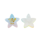 Maxbell 20pcs Zodiac Pattern Resin Decor Five Point Star DIY Crafts Phone Case Decor