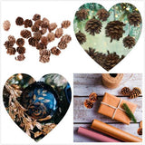 Maxbell 60Piece Pine Cone Pineal Nuts Party Decorations Adornments Vase Bowl Fillers