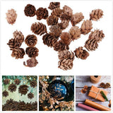 Maxbell 60Piece Pine Cone Pineal Nuts Party Decorations Adornments Vase Bowl Fillers