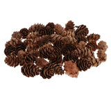 Maxbell 60Piece Pine Cone Pineal Nuts Party Decorations Adornments Vase Bowl Fillers