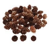 Maxbell 60Piece Pine Cone Pineal Nuts Party Decorations Adornments Vase Bowl Fillers
