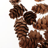 Maxbell 60Piece Pine Cone Pineal Nuts Party Decorations Adornments Vase Bowl Fillers