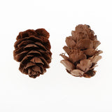 Maxbell 60Piece Pine Cone Pineal Nuts Party Decorations Adornments Vase Bowl Fillers