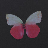 Max 10xColorful Chiffon Butterfly Earring Ear Stud Hairpin Decors white red