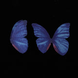 Max 10xColorful Chiffon Butterfly Earring Ear Stud Hairpin Decors dark blue