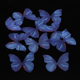 Max 10xColorful Chiffon Butterfly Earring Ear Stud Hairpin Decors dark blue