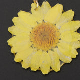 Maxbell Real Dried Flower Earrings