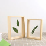 Maxbell Wood Plant Specimen Photo Frame Transparent Dried Flowers Wedding Wall Decor 21.3x21.3cm