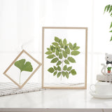 Maxbell Wood Plant Specimen Photo Frame Transparent Dried Flowers Wedding Wall Decor 21.3x21.3cm