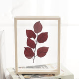 Maxbell Wood Plant Specimen Photo Frame Transparent Dried Flowers Wedding Wall Decor 21.3x21.3cm