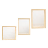 Maxbell Wood Plant Specimen Photo Frame Transparent Dried Flowers Wedding Wall Decor 21.3x21.3cm