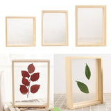 Maxbell Wood Plant Specimen Photo Frame Transparent Dried Flowers Wedding Wall Decor 21.3x21.3cm