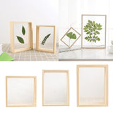 Maxbell Wood Plant Specimen Photo Frame Transparent Dried Flowers Wedding Wall Decor 21.3x21.3cm