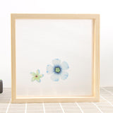 Maxbell Wood Plant Specimen Photo Frame Transparent Dried Flowers Wedding Wall Decor 21.3x21.3cm