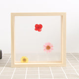 Maxbell Wood Plant Specimen Photo Frame Transparent Dried Flowers Wedding Wall Decor 21.3x21.3cm