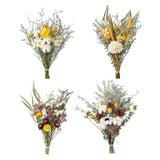 Natural Dried Flower Floral Crafts for Home Wedding Party Daisy