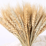 100 Pcs Real Wheat Ear Flower Dried Flowers Wedding Party Decoration Natural