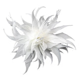 Maxbell Women Ladies Feather Brooch Decor for Wedding Halloween White