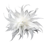 Maxbell Women Ladies Feather Brooch Decor for Wedding Halloween White