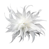Maxbell Women Ladies Feather Brooch Decor for Wedding Halloween White