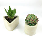 Maxbell Silicone Casting Resin Storage Container Crafting Decoration Plaster Art Round