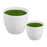 Maxbell Artificial Potted Plant Decoration Ornament Bonsai Office Home Outdoor S