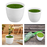 Maxbell Artificial Potted Plant Decoration Ornament Bonsai Office Home Outdoor S