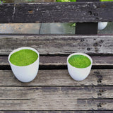 Maxbell Artificial Potted Plant Decoration Ornament Bonsai Office Home Outdoor S