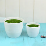 Maxbell Artificial Potted Plant Decoration Ornament Bonsai Office Home Outdoor S