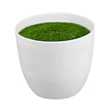 Maxbell Artificial Potted Plant Decoration Ornament Bonsai Office Home Outdoor S