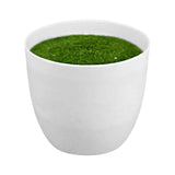 Maxbell Artificial Potted Plant Decoration Ornament Bonsai Office Home Outdoor S