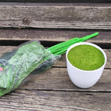 Maxbell Artificial Potted Plant Decoration Ornament Bonsai Office Home Outdoor S