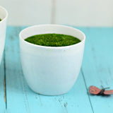 Maxbell Artificial Potted Plant Decoration Ornament Bonsai Office Home Outdoor S