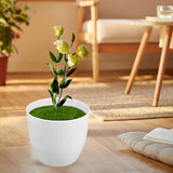 Maxbell Artificial Potted Plant Decoration Ornament Bonsai Office Home Outdoor S