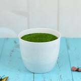 Maxbell Artificial Potted Plant Decoration Ornament Bonsai Office Home Outdoor L