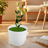 Maxbell Artificial Potted Plant Decoration Ornament Bonsai Office Home Outdoor L