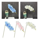 Maxbell Orchid Flowers Stem Plants Party Artificial Butterfly Phalaenopsis Flowers Light Blue