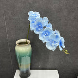 Maxbell Orchid Flowers Stem Plants Party Artificial Butterfly Phalaenopsis Flowers Light Blue