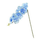 Maxbell Orchid Flowers Stem Plants Party Artificial Butterfly Phalaenopsis Flowers Light Blue
