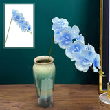 Maxbell Orchid Flowers Stem Plants Party Artificial Butterfly Phalaenopsis Flowers Light Blue