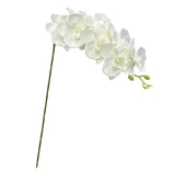 Maxbell Orchid Flowers Stem Plants Party Artificial Butterfly Phalaenopsis Flowers White
