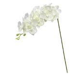 Maxbell Orchid Flowers Stem Plants Party Artificial Butterfly Phalaenopsis Flowers White