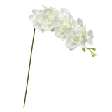 Maxbell Orchid Flowers Stem Plants Party Artificial Butterfly Phalaenopsis Flowers White