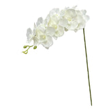 Maxbell Orchid Flowers Stem Plants Party Artificial Butterfly Phalaenopsis Flowers White