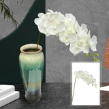 Maxbell Orchid Flowers Stem Plants Party Artificial Butterfly Phalaenopsis Flowers White