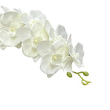 Maxbell Orchid Flowers Stem Plants Party Artificial Butterfly Phalaenopsis Flowers White