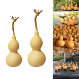 Maxbell Dried Gourd Water Bottle Satute Gourd Hip Flasks Shape Wu Lou for Office 9-12CM